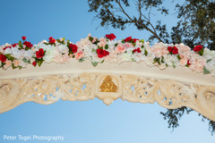 photo #285673 photo #285673