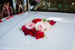 photo #285678 photo #285678