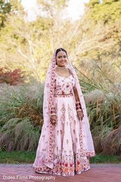 photo #285738 photo #285738