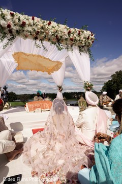 photo #285786 photo #285786