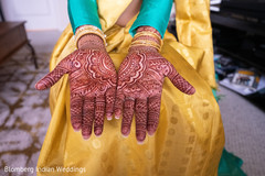 photo #285977 photo #285977