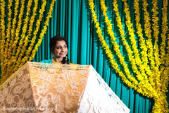 photo #285983 photo #285983