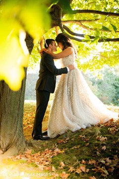 photo #286183 photo #286183