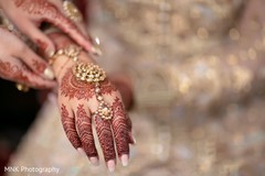 photo #286388 photo #286388