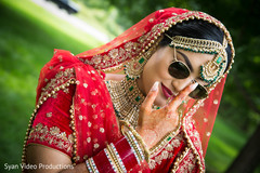 photo #286725 photo #286725