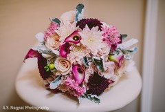 photo #286828 photo #286828