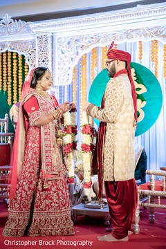 photo #286991 photo #286991