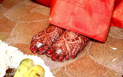 photo #287185 photo #287185