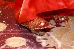 photo #287202 photo #287202