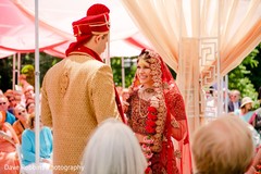 photo #287319 photo #287319