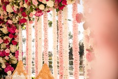photo #287642 photo #287642