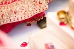 photo #287697 photo #287697