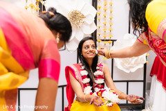 photo #288243 photo #288243