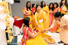 photo #288248 photo #288248
