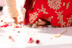 photo #288326 photo #288326