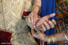 photo #288460 photo #288460