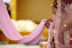 photo #288584 photo #288584