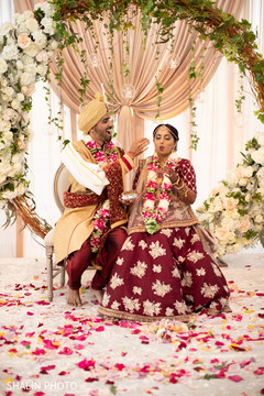 photo #288978 photo #288978