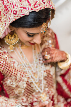 photo #291668 photo #291668