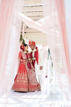 photo #292239 photo #292239