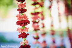 photo #292853 photo #292853
