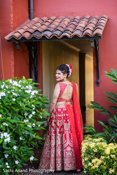 photo #293763 photo #293763