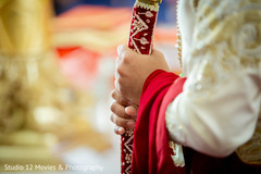 photo #293875 photo #293875