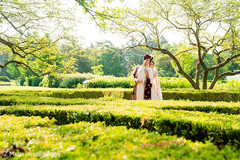 photo #294879 photo #294879