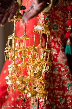 photo #294973 photo #294973