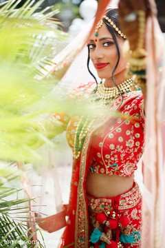 photo #294976 photo #294976