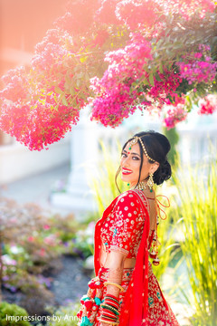 photo #295026 photo #295026