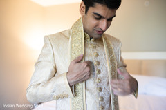 photo #295336 photo #295336
