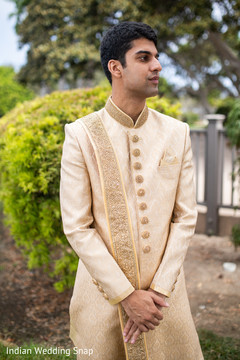 photo #295355 photo #295355