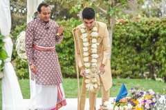 photo #295363 photo #295363