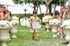 photo #295365 photo #295365