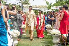 photo #295374 photo #295374