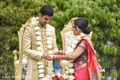 photo #295375 photo #295375