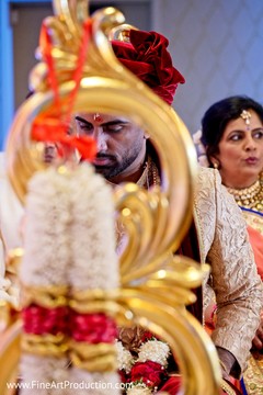 photo #295577 photo #295577