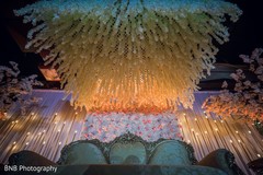 photo #295618 photo #295618