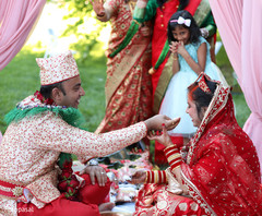 photo #295705 photo #295705