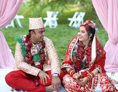 photo #295706 photo #295706
