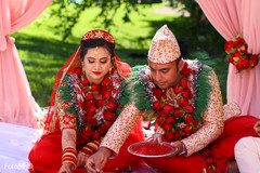 photo #295708 photo #295708