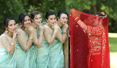 photo #295715 photo #295715