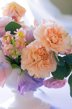 photo #295739 photo #295739