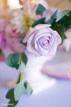 photo #295741 photo #295741