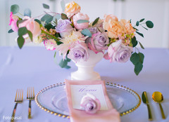photo #295742 photo #295742