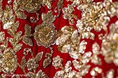 photo #295776 photo #295776
