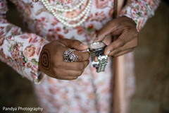 photo #295783 photo #295783