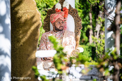 photo #295821 photo #295821