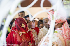 photo #295847 photo #295847